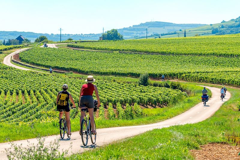 Cyclistes - Côtes de Beaune - Bourgogne-Franche-Comté - France