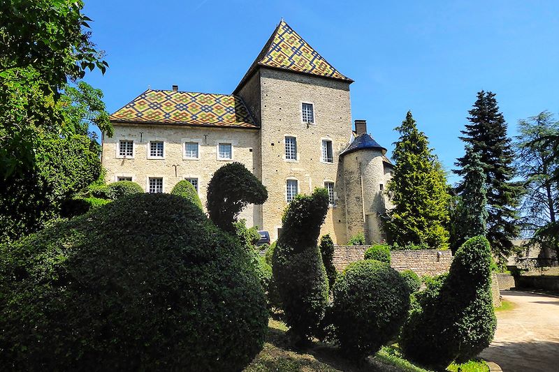 Château de Santenay - Saône-et-Loire - France