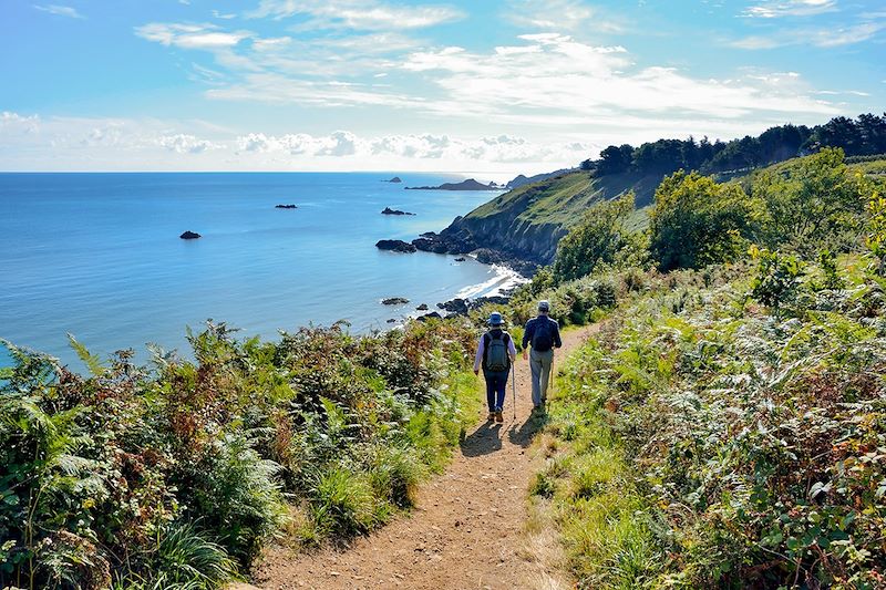 Randonnée côtière en Bretagne : De Binic à Bréhat, un voyage entre l'île de Bréhat et Falaises de Plouha