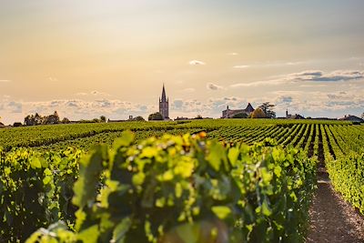 Saveurs de Bordeaux, des vignes à l'océan 