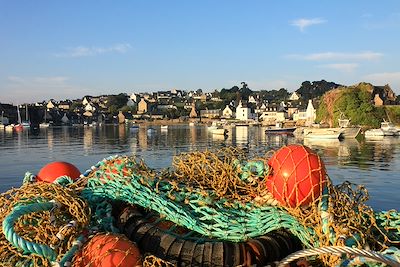Coquille Saint-Jacques et cocos blancs 2