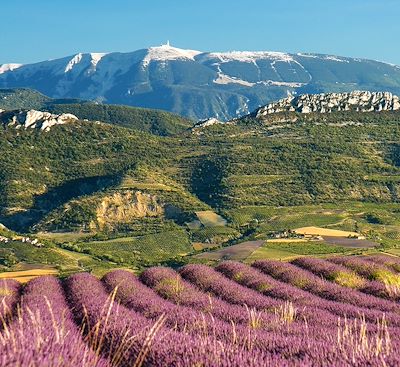  Voyage Provence