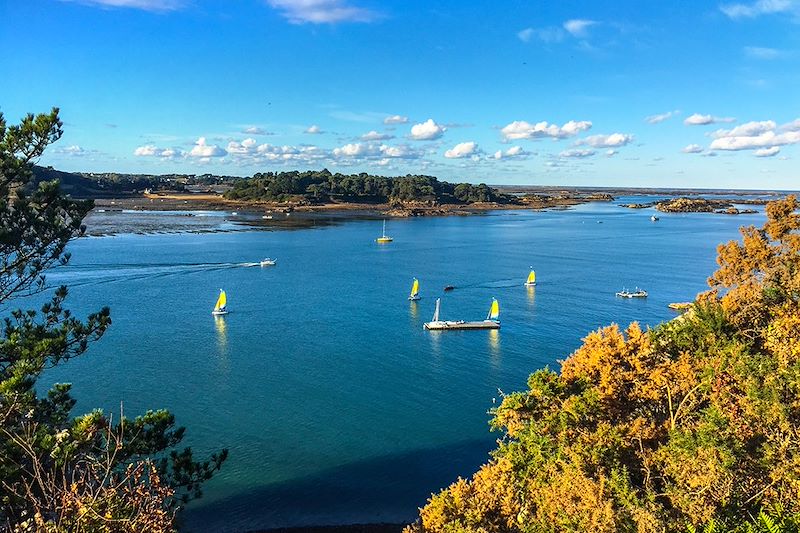 Estuaire du Trieux - Côtes-d'Armor - Bretagne - France