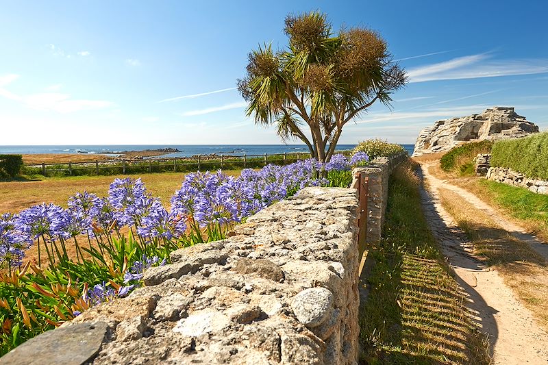 Île de Batz - Bretagne - France