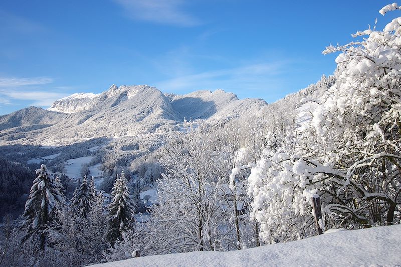 Vallée des Entremonts - Parc naturel régional de Chartreuse - France