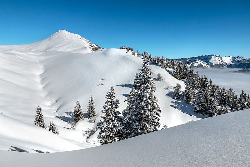 Sommet du Charmant Som - Parc naturel régional de Chartreuse - France