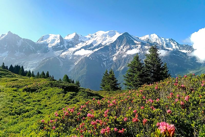 Massif du Mont-Blanc depuis le Plan de Benoï - Haute-Savoie - France