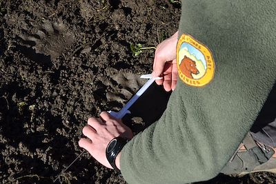 Le GR10 dans les pas de l’Ours des Pyrénées