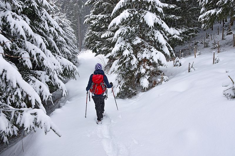 Randonnée en raquettes en forêt