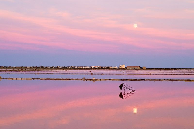 Marais de Gruissan (ou Salin de l'île Saint-Martin de Gruissan) - Occitanie - France