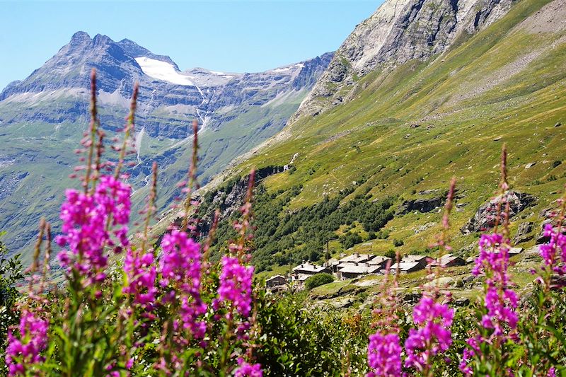 Le parc de la Vanoise 