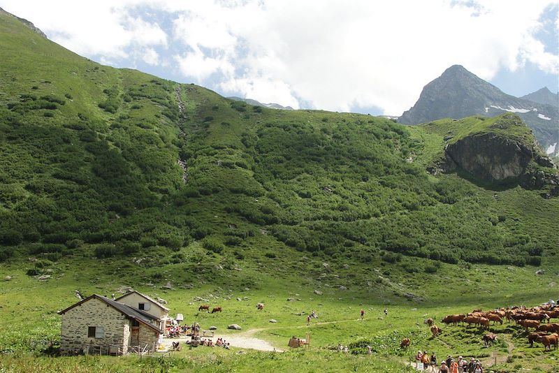 Le parc de la Vanoise 