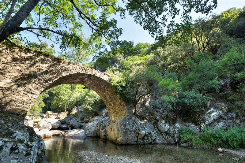 Randonnée dans les Cévennes Caroux - France