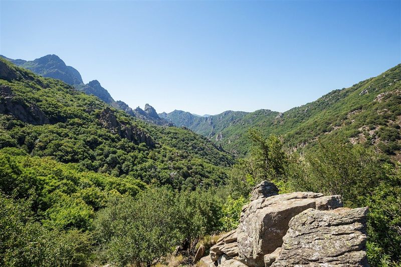 Le Caroux, perle sauvage des Cévennes