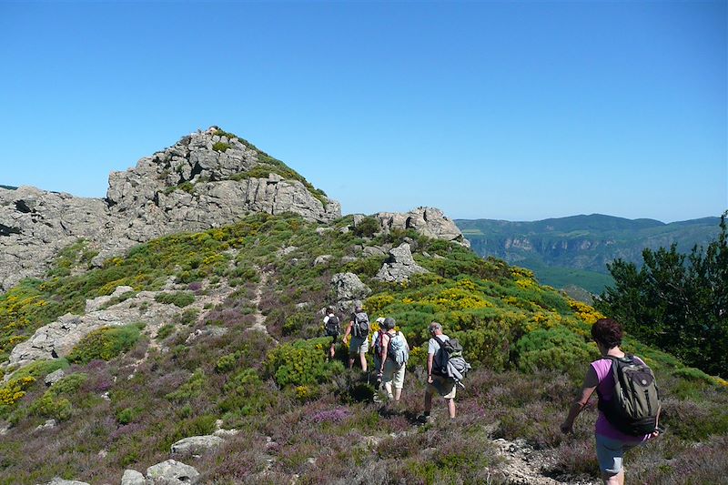 Le Caroux, perle sauvage des Cévennes