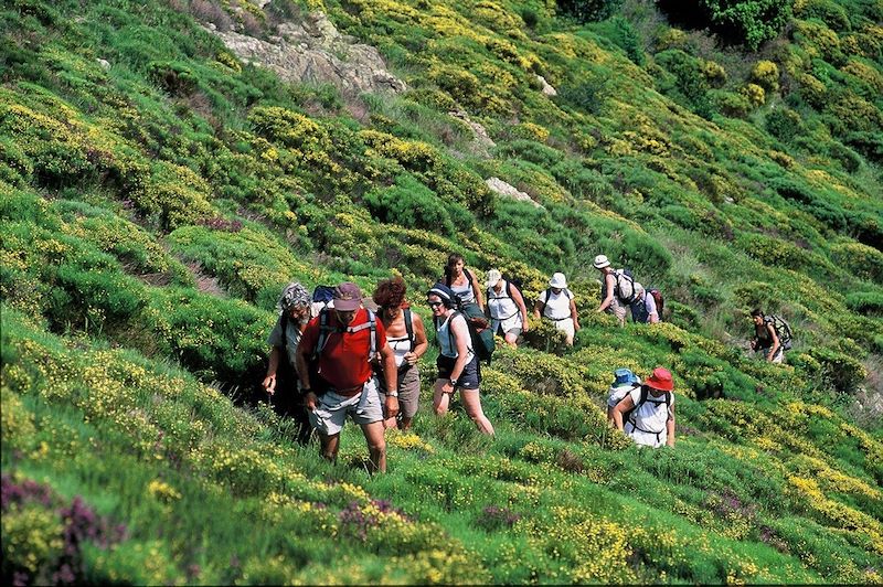 Le Caroux, perle sauvage des Cévennes