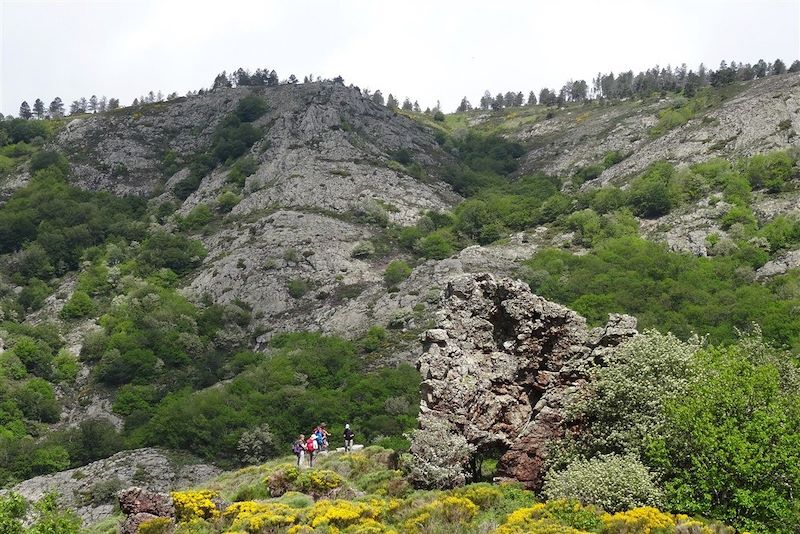 Le Caroux, perle sauvage des Cévennes