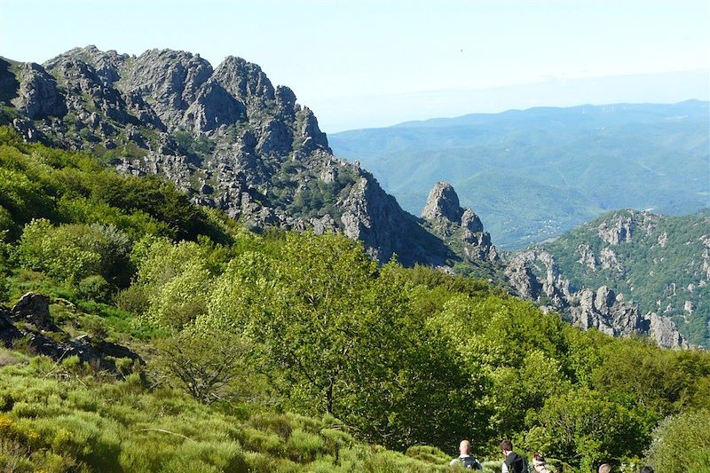 Le Caroux, perle sauvage des Cévennes