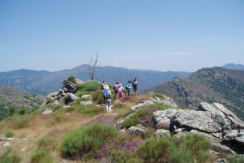 Le Caroux, perle sauvage des Cévennes