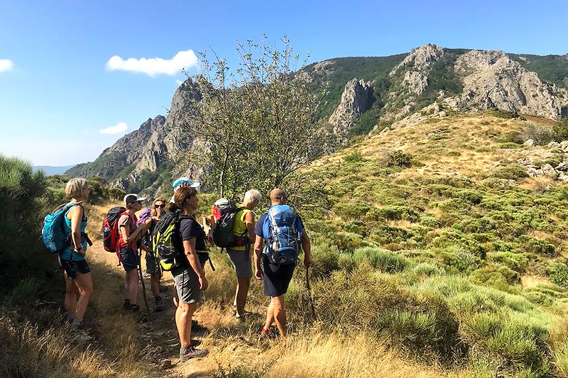 Le Caroux, perle sauvage des Cévennes