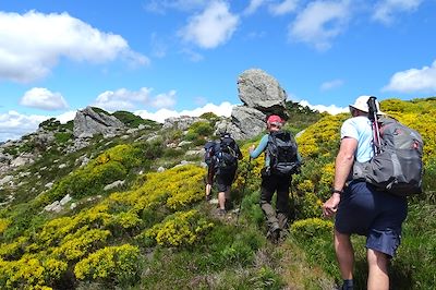 Le Caroux, perle sauvage des Cévennes 4