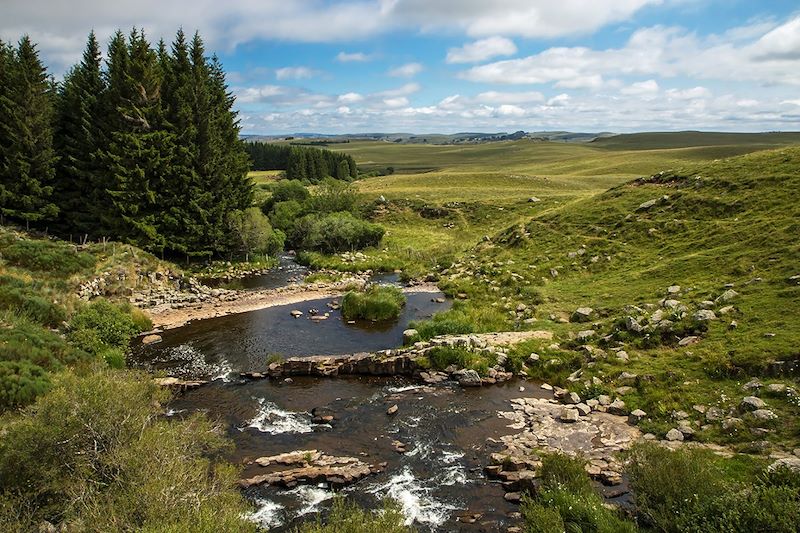 La rivière Le Bès près de Nasbinals - Aubrac - France