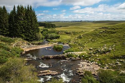 Découverte de l'Aubrac 3