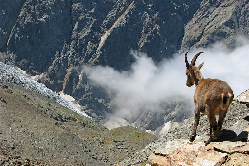 Grand panorama du Mont-Blanc