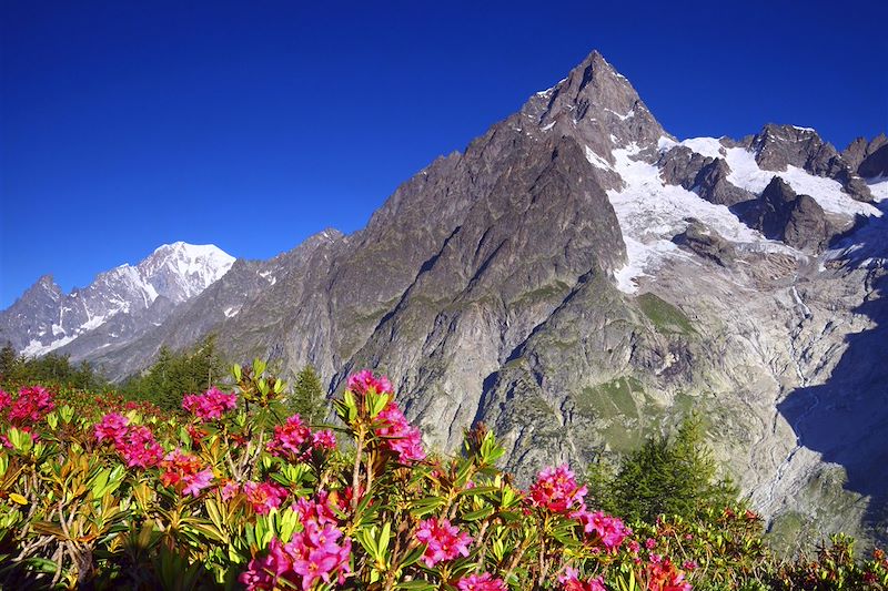 Grand panorama du Mont-Blanc