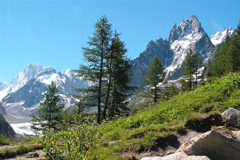 Grand panorama du Mont-Blanc