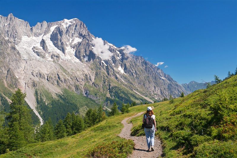 Grand panorama du Mont-Blanc