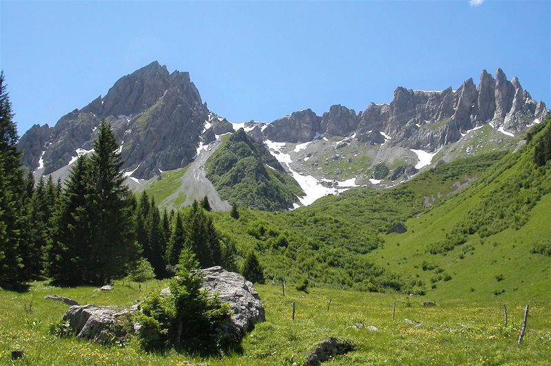 Grand panorama du Mont-Blanc