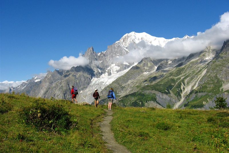 Grand panorama du Mont-Blanc