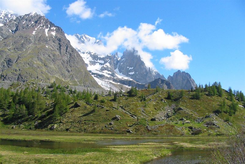 Grand panorama du Mont-Blanc