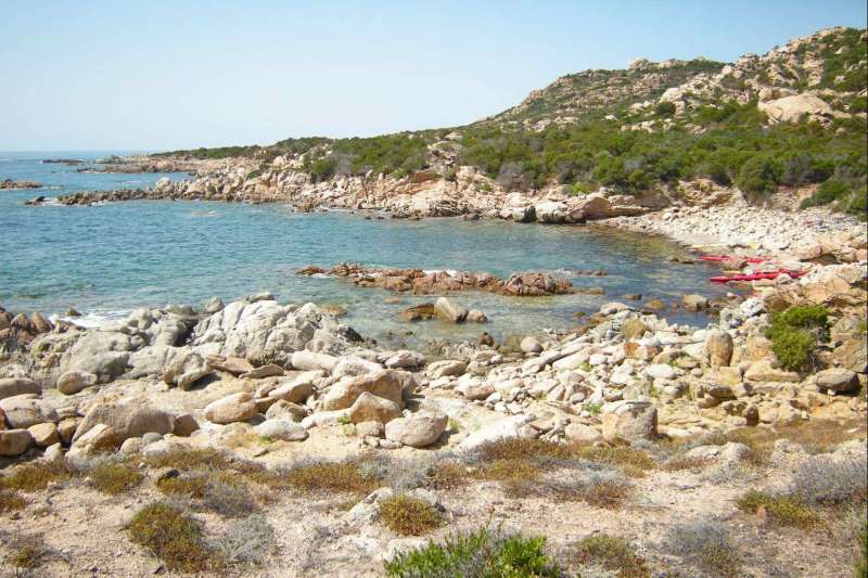 Distribution De Les Coquines De L'île De Beauté
