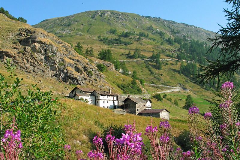 Le Grand Paradis (val d'Aoste)