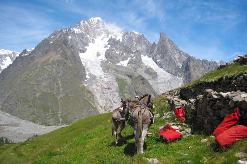 À trois petits pas du Mont-Blanc