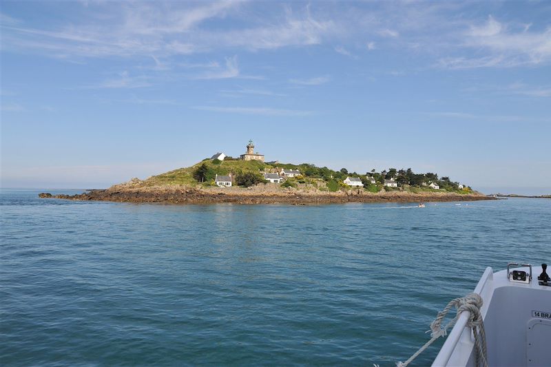 Escapade marine sur l'île de Wight