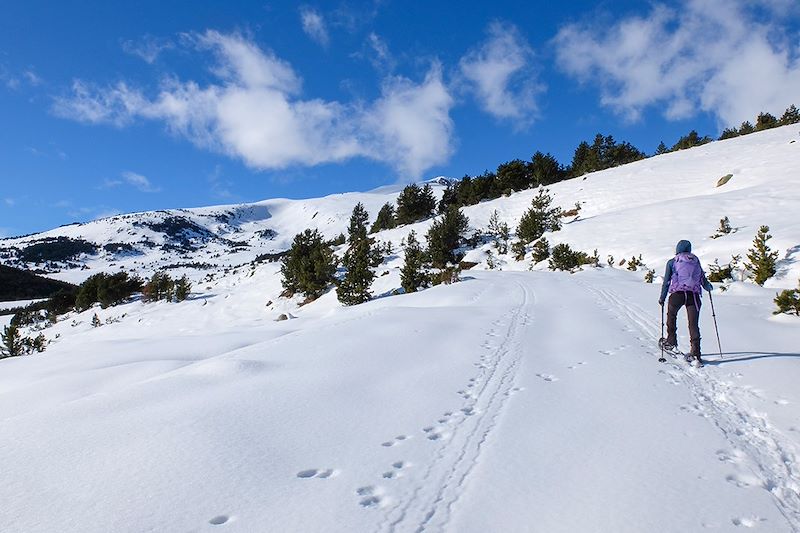 Cerdagne et Capcir, un air de Canada...