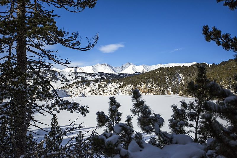 Cerdagne et Capcir, un air de Canada...