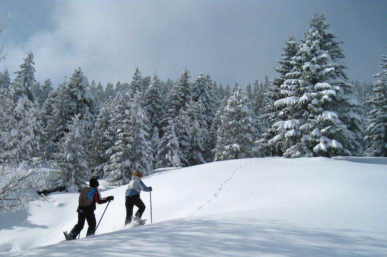 Week-end trappeur dans le Jura