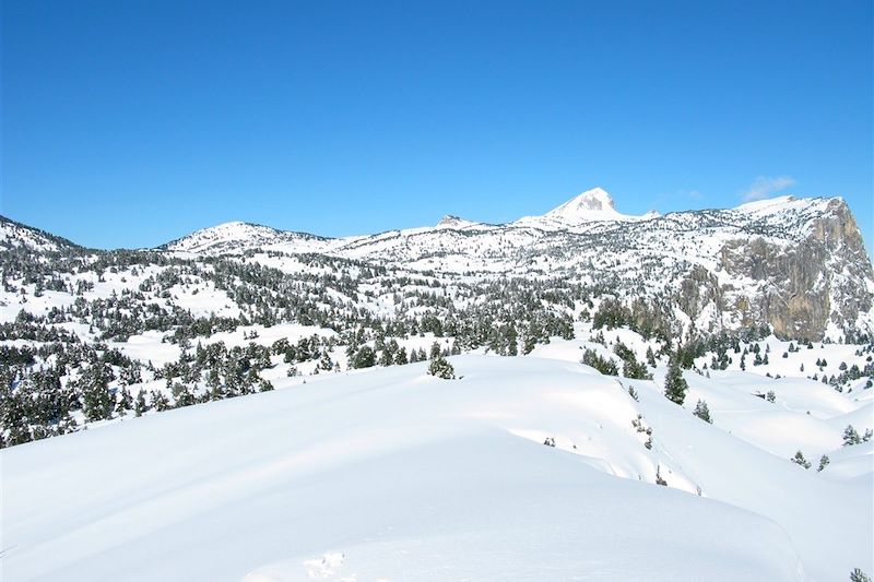 Sur les traces des trappeurs du Vercors !