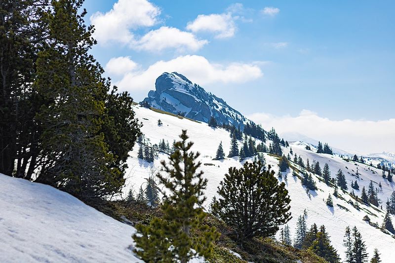 Vue sur la montagne de la Grande Moucherolle - Massif du Vercors - France