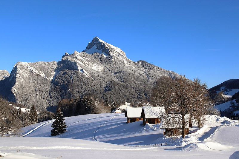 Saint-Hugues-de-Chartreuse - Massif de la Chartreuse - France