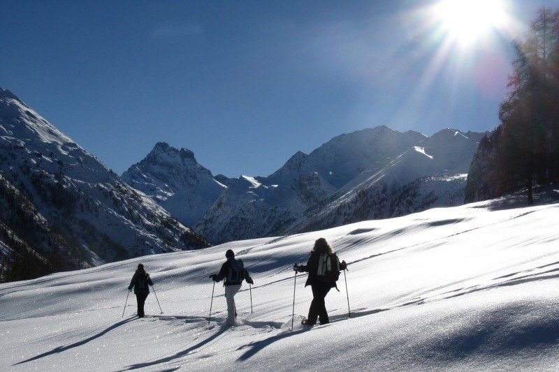 Au pays du Queyras