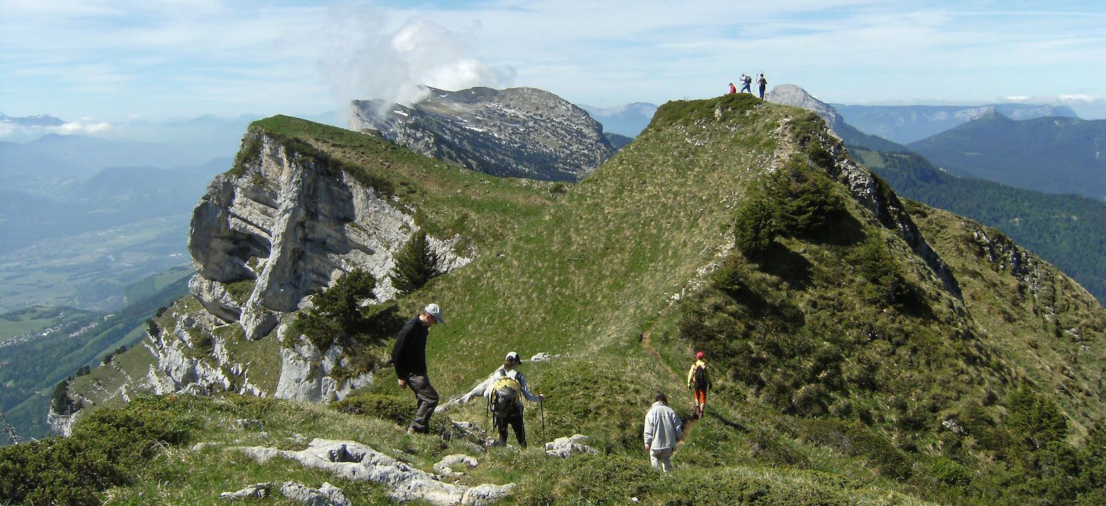 Chartreuse Heureuse