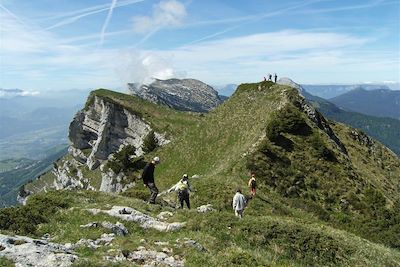 voyage Chartreuse Heureuse 