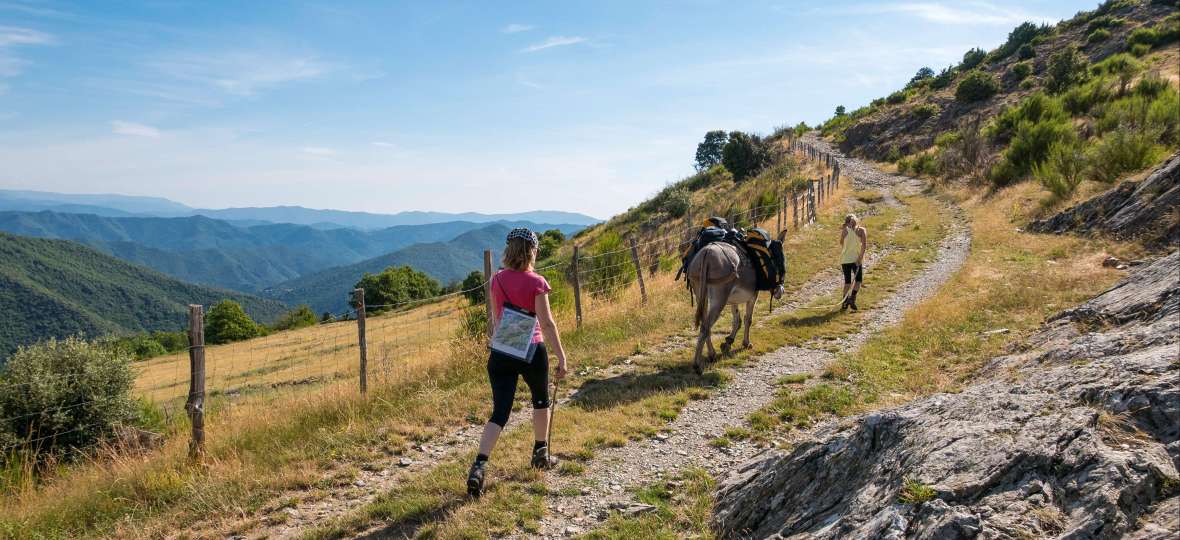Dix Anes Dans Les Cevennes Zusammenfassung Deutsch