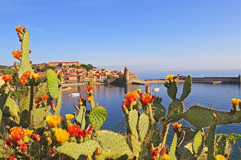 La côte vermeille de Collioure à Cadaquès