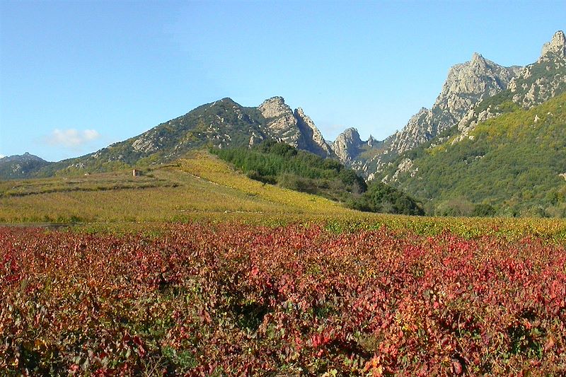 Bien-être en Pays Cévenol